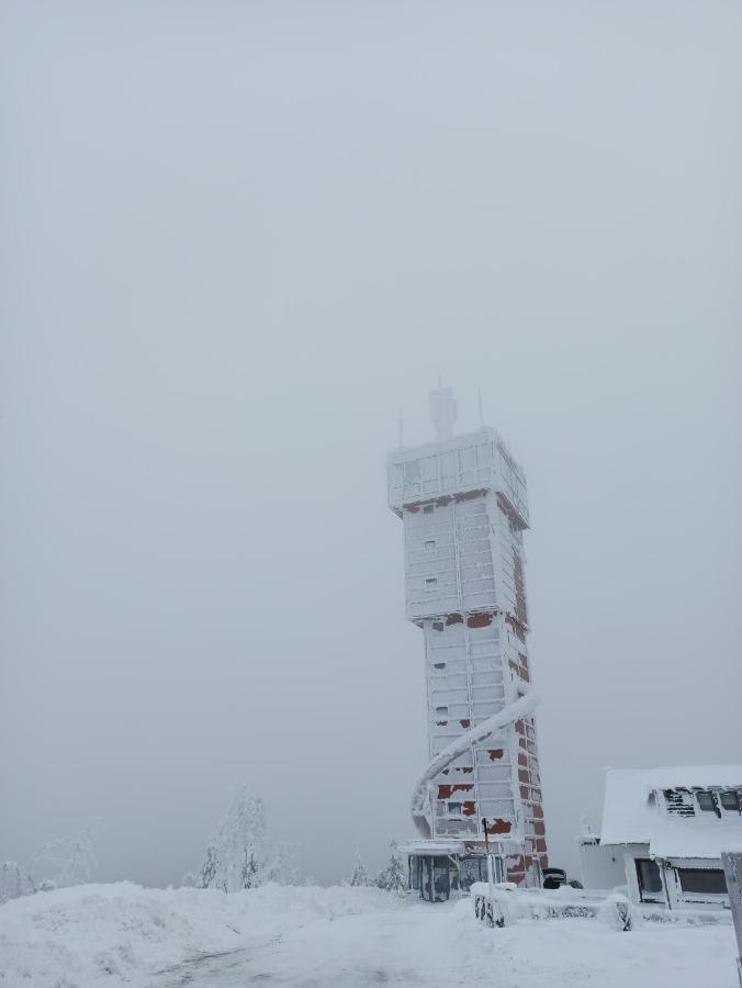 Walpurgis Hexe Appartement Braunlage Buitenkant foto