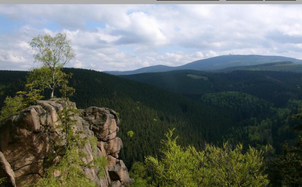Walpurgis Hexe Appartement Braunlage Buitenkant foto