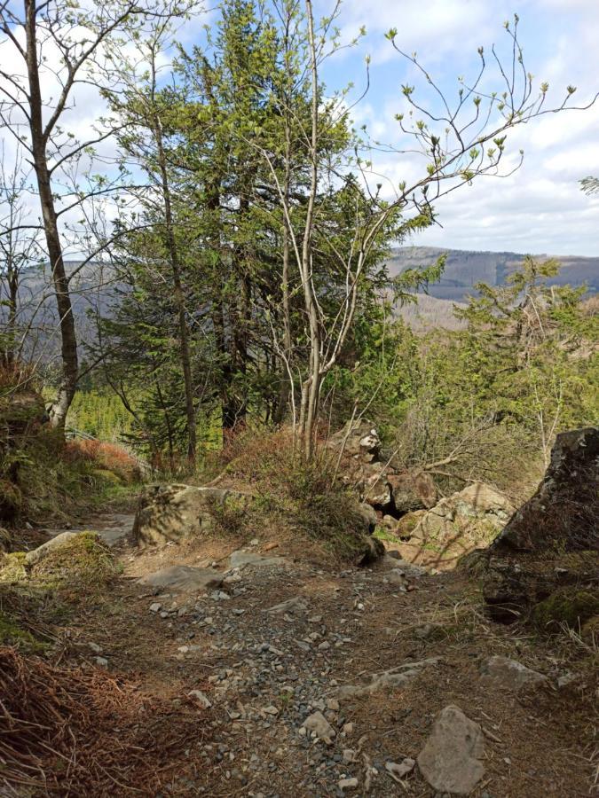 Walpurgis Hexe Appartement Braunlage Buitenkant foto